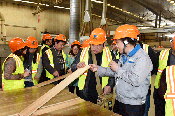 聚焦木制林產品專家學者、媒體走進大亞圣象考察采風